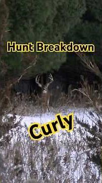 The hunt for Curly, an OG Deer Society Hunt Breakdown! #bigbuck #whitetail #bbd #deerhunting