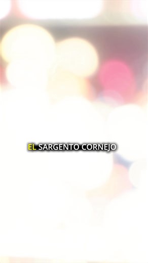 Aprender inglés no tiene que ser caro. Con Open English no pagas matrícula y aprovechas una oferta especial por el mes de Black Friday 🚀 | Open English