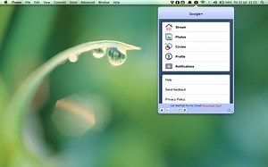 Browse Google  on the desktop with Tab for Google