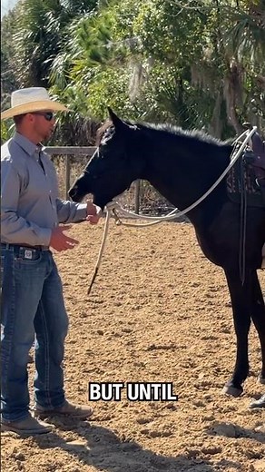 Did you know that you don't have to canter to work on your canter? #horsetraining #canter