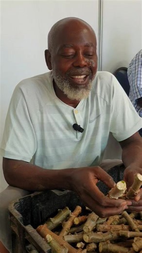 Cassava is a hardy root tuber that grows well in dry conditions. Limpopo farmer Changa Mathebula has turned this resilient crop into a range of products — from juice to yoghurt to gluten-free flour and instant porridge. Mathebula has been working closely with the ARC and the Department of Agriculture to commercialise the crop. | Farmer's Weekly SA