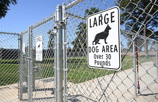 What are the most popular dog breeds in California? See which ones made the list