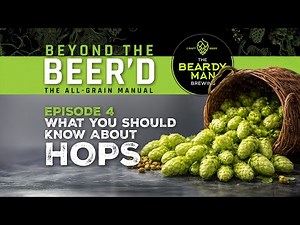 ALL-GRAIN BREWING – What You Should Know About HOPS