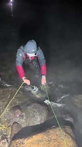 اصطياد سمك السلمون