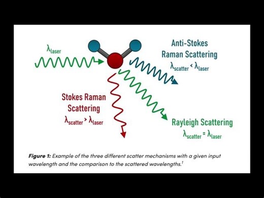 Raman Technology: Real-time monitoring in BioProcess | Hung Trinh