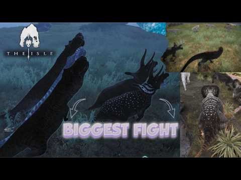 Multiple Fights | No Rules Server | The Isle Evrima