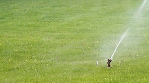 Water sprinkler in the park