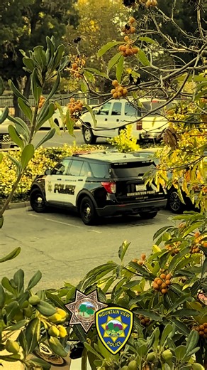 4.6K views · 28 reactions | October Sticker Drop! There’s nothing spooky about this month’s sticker - just smiles! Our featured design is a cheerful jack-o’-lantern to celebrate the autumn season and all things pumpkin. Stop by to pick up your October sticker and join in the fall fun! This sticker is brought to you in partnership with the Mountain View Public Safety Foundation. | Mountain View Police Department | Facebook