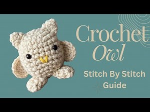 Crochet a Cute Owl! 🦉 The Perfect Scrap Yarn Project