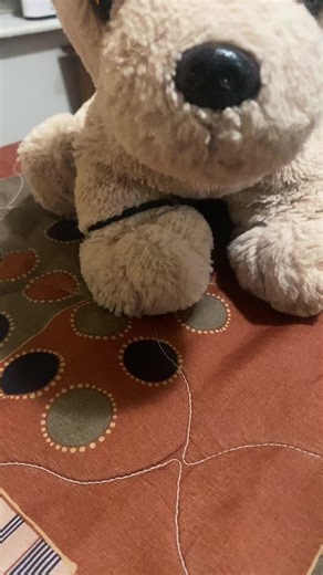 Baby boo girls (@babyboogirls2)’s videos with original sound - ꨄ