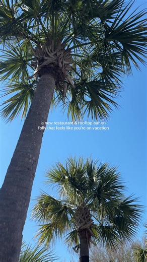 Catch 23 Seafood Experience at Folly Beach