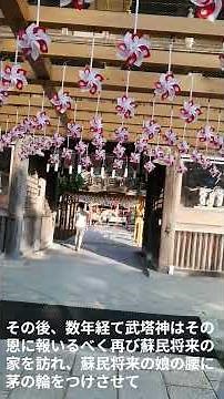 茅の輪神事 (茅の輪くぐり) 夏越祓 #神社 #夏越祓 #茅の輪