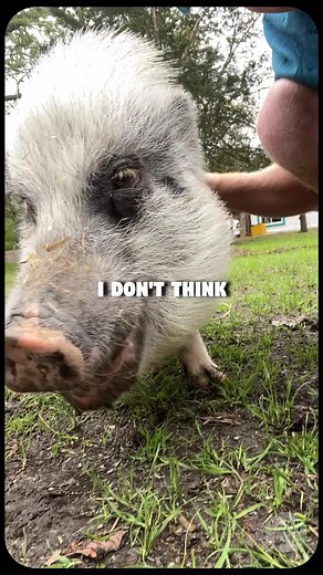 8.7K views · 277 reactions | Intelligence shouldn't be morally...