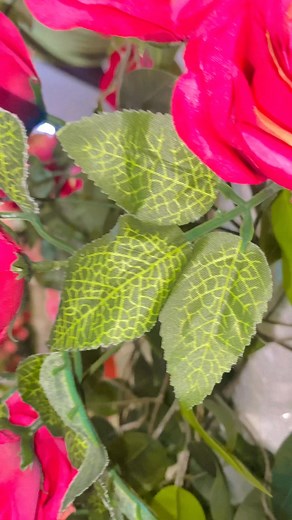 9.9K views · 326 reactions | The wedding #wedding | Joe Parigi | Facebook