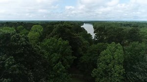 Saying goodbye | Ima Survivor Donkey and Farm Animal Sanctuary
