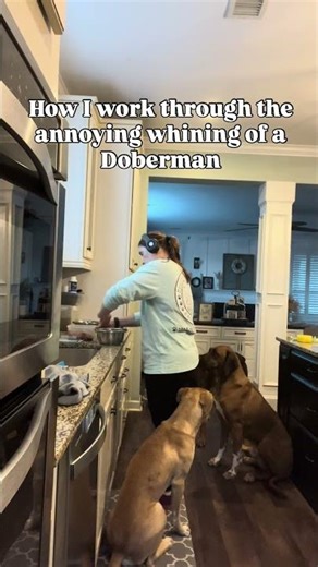 How I deal with the annoying doorman￼whining ￼