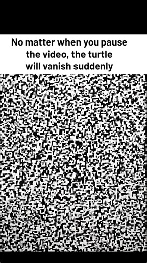 125K views · 193 reactions | No matter when you pause the video, the turtle will vanish suddenly | Bored Panda Art | Facebook