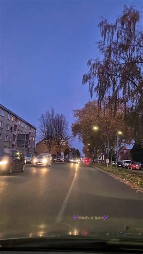 #mûzikûşahî #💚❤️💛 #mûzikûşahî