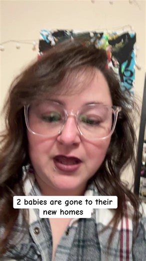 @Dixie 🦩🇨🇦 thank you ❤️ | dixie d 'amelio