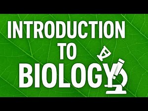 Introduction to Biology | Definition, Branches & Key Characteristics Explained