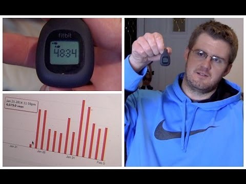 Fitbit Zip Wireless Activity Tracker Review