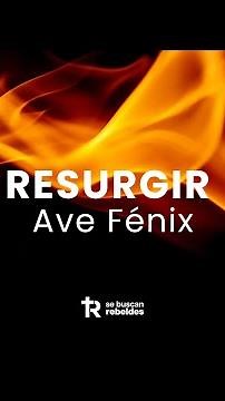 Resurgir de las cenizas como el Ave Fénix