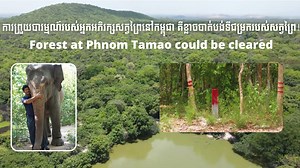 1M views · 107K reactions | Phnom Tamao is not just a zoo, it’s an...