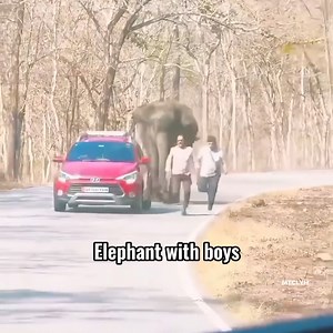 1.5M views · 63K reactions | Hathi mere sathi嵐 | Music that can listen to your heart | Facebook