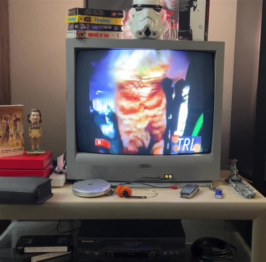 TRL 1999 #90s #2000s #nostalgia #fyp #y2k #musicvideo #mtv