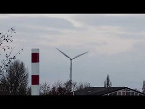 Canon EOS 250D | Digital Zoom Test with 55-250mm