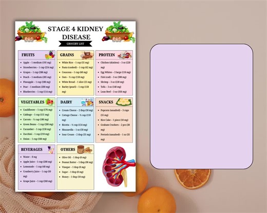 Stage 4 Kidney Disease Food List | Printable Renal Diet Chart | Kidney Friendly Grocery Guide Poster | Digital PDF Download A4 & US Letter - Etsy Australia