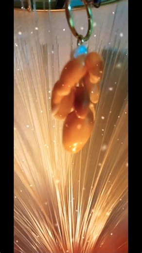 Key chain using Sea shell #seashell #keychain #seashellcraft #seashellart #music #shellcraft