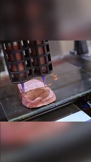 3D MEAT