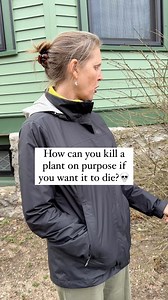 91K views · 392 reactions | We had two burning bushes (Euonymus...