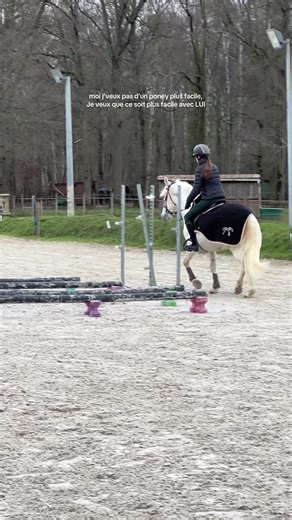 How to Bond with Your Pony: Tips for Riders