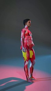 2.6K views · 47 reactions | Want to strengthen and sculpt your inner...