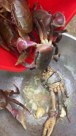 6.7K views · 57 reactions | Cooking fresh water crabs gone wrong omg! | Jecelyn Jao | Facebook