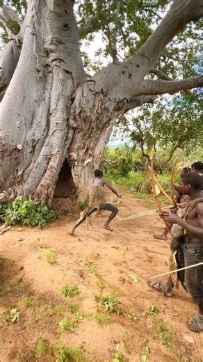 They Saw a Snake in the Tree… Then Everyone Jumped! 😂🐍🌳