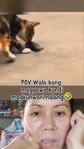 Wala na ming Tama na🤣 #funnycat #funnycatvideos #laughtrip #mouse #trap | Shy Vlog