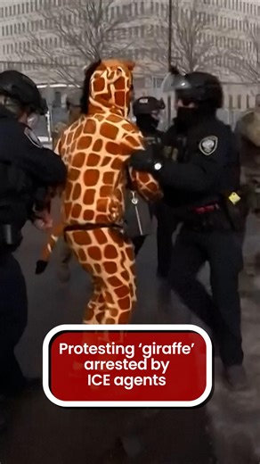 ICE brought down a giraffe-suited protester outside Minneapolis federal building | The Mirror