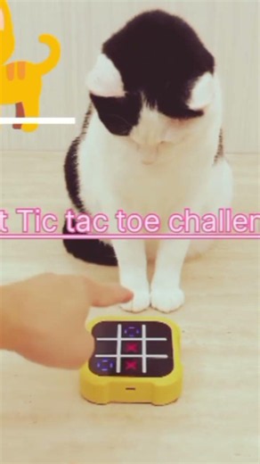 Tic Tac Toe Game play