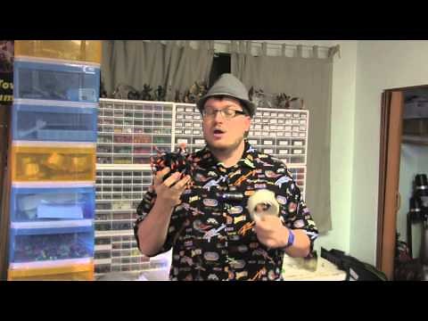 How to Build a Cardboard Box Maze