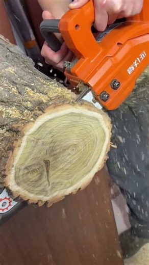 Heavy Duty Chain Saw Wood Processing