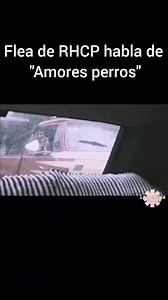 Sabías que Flea habló en un "Behind the Scenes" de como la película mexicana de "Amores perros" les influenció para grabar el vídeo de "By the Way"? Hasta donde llegó la influencia de Gael de puro besarse con el Diego Luna 🤙 @laozpediapeppers #rhcp #flea #redhotchilipeppers #cinehumilde | Vrotherhood