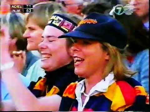 1998 AFL Grand Final Adelaide Crows Vs North Melbourne Kangaroos AFL Wrap