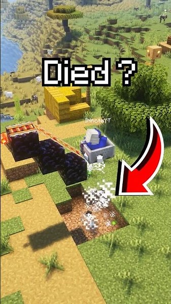 You Can INSTA-KILL The Dragon With This Bug...