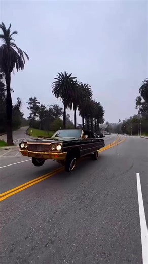 #low #lowrider #impala #classic #cars