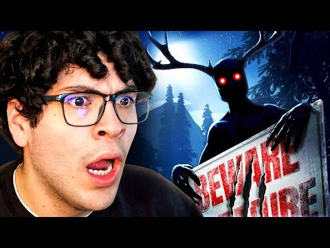 THIS FOREST ISN'T WHAT IT SEEMS | Radiolight