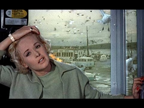 Top 10 Terrifying Animal Attacks in Movies