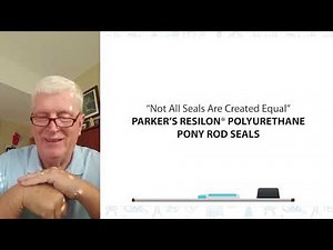 Parker Pony Rod Seals